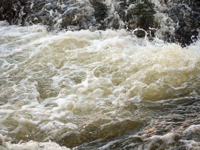 2026-02-12-12-57-07-imagem_das_aguas_de_um_rio
