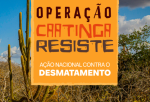 Operação Caatinga Resiste: MPRN participa de ação nacional contra o desmatamento no semiárido brasileiro