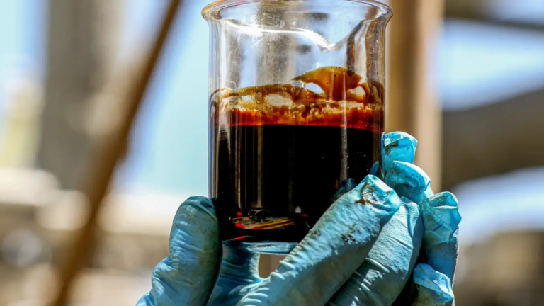 petroleo