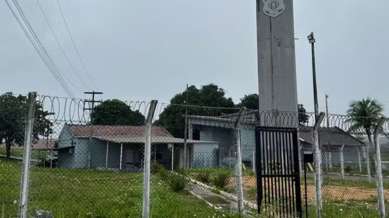 alcaçuz