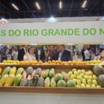 Frutas-do-RN