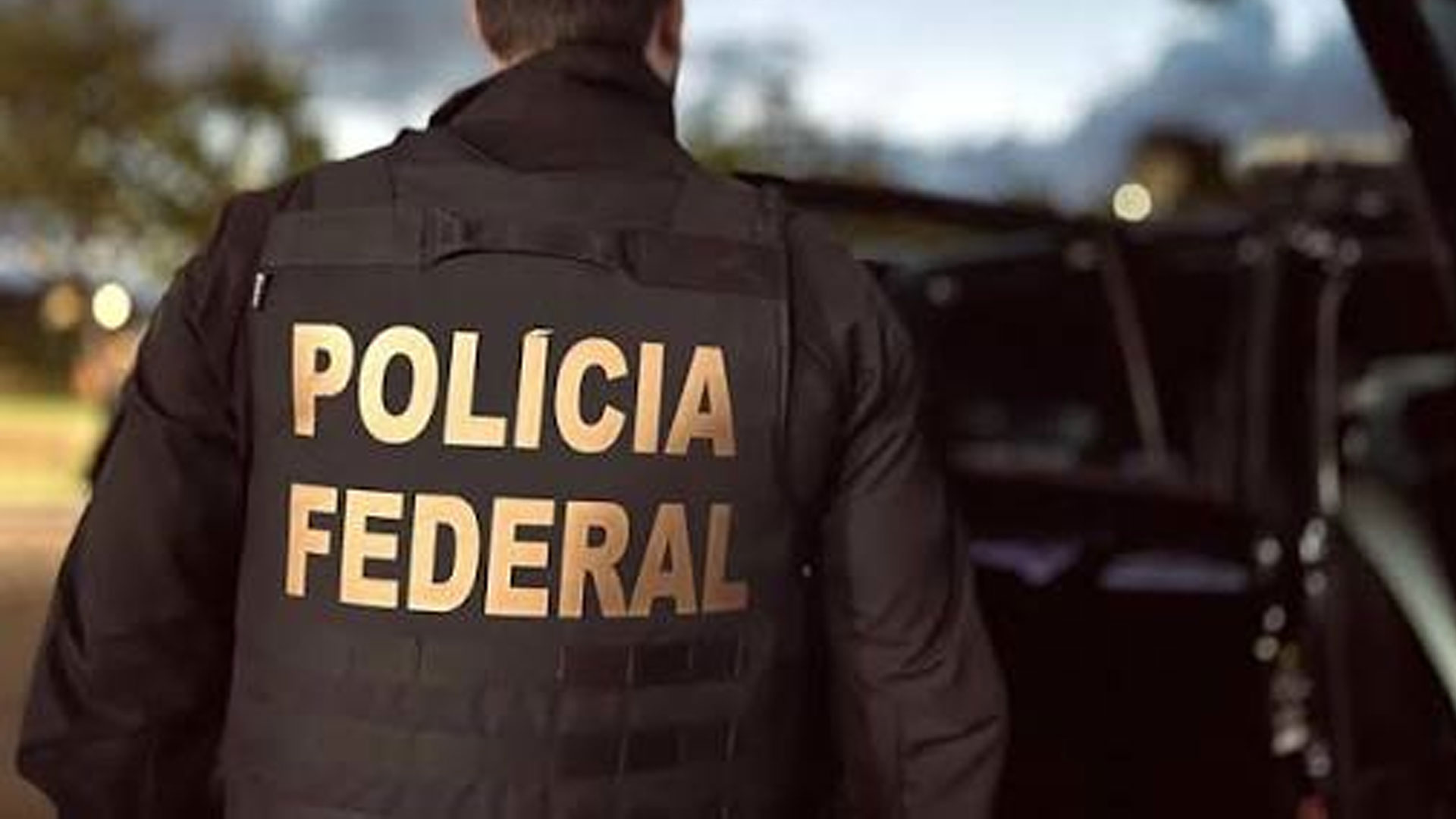 federal