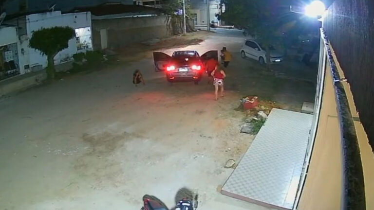 atropelado