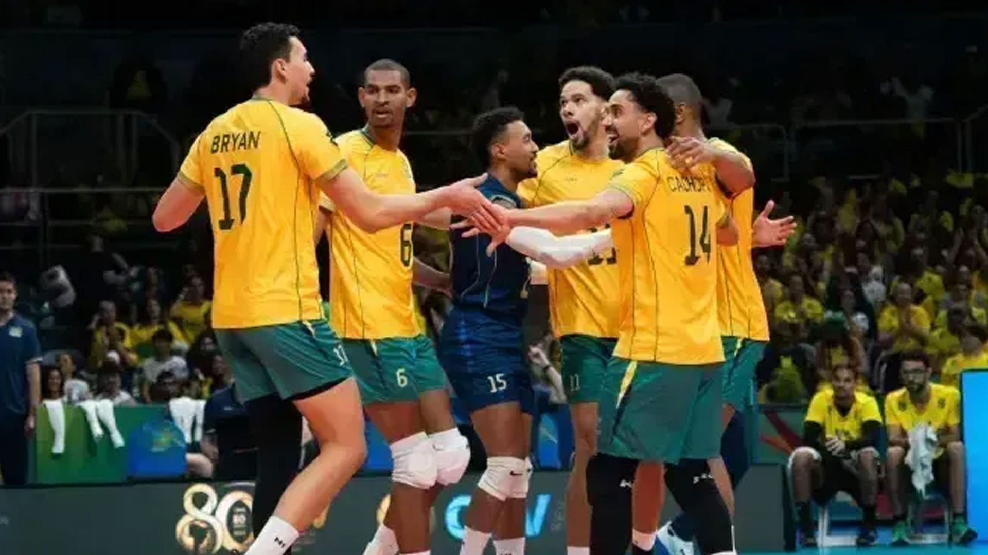 volei