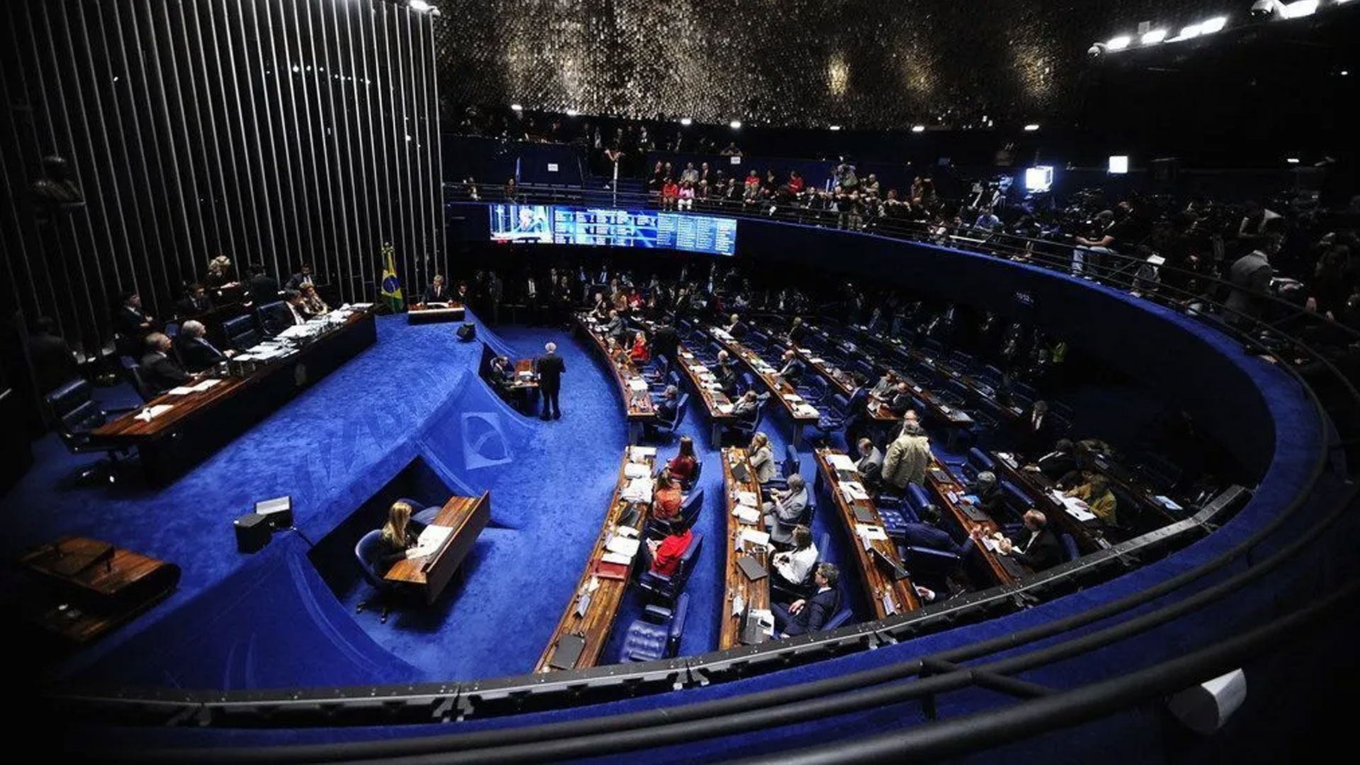 senado