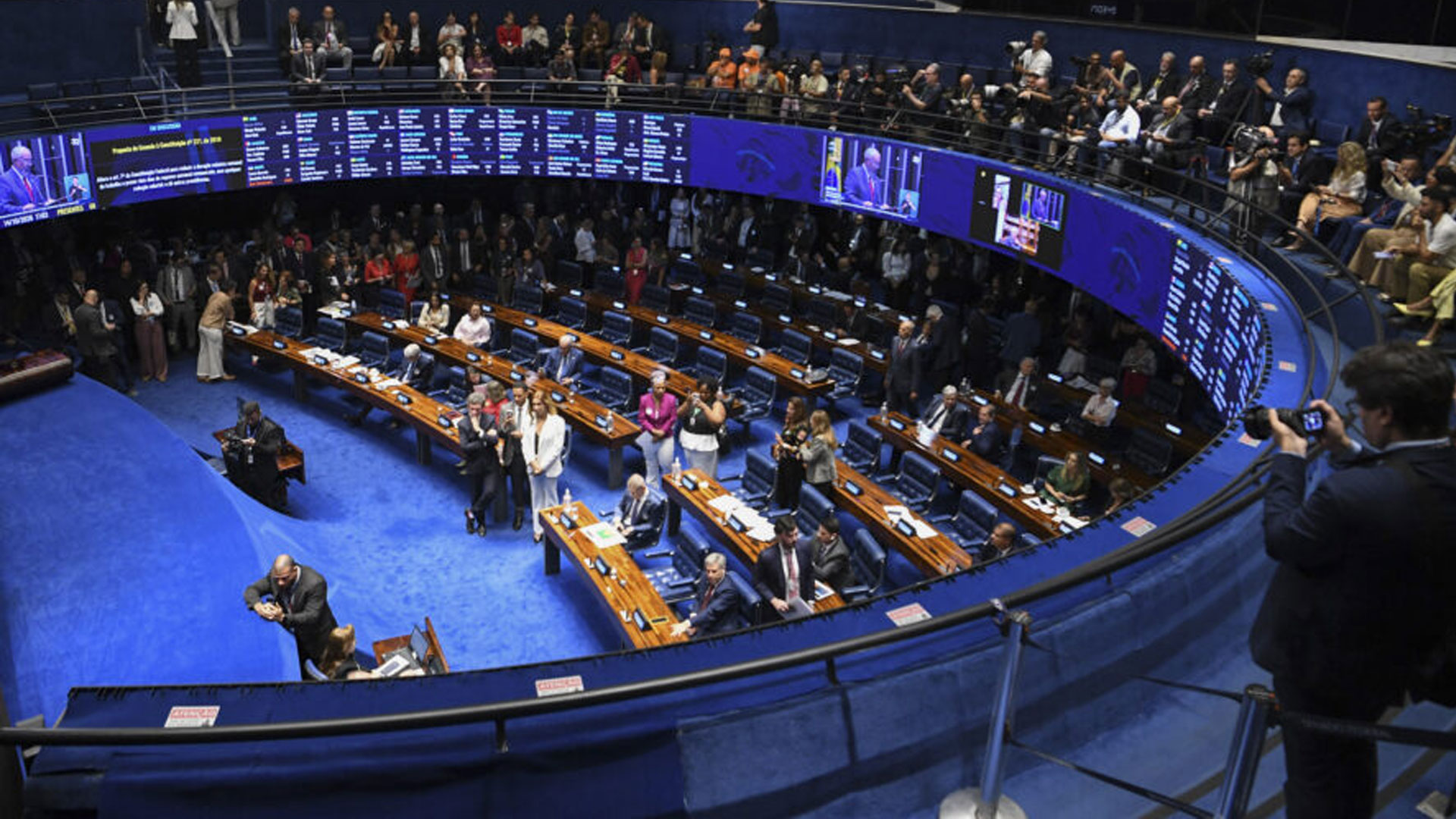senado